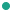A green circle icon